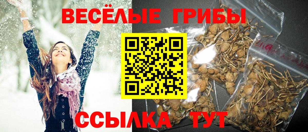 Галлюциногенные грибы Magic Shrooms Кизляр